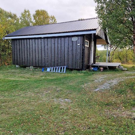 Bungalaven Lodge As Børselv Dış mekan fotoğraf